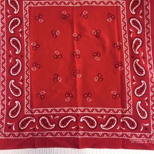 Vintage Floral Paisley Handkerchief